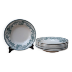Ensemble de 9 anciennes assiettes plates modle guadeloupe saint amand