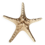 toile de mer