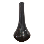 Flacon bouteille oignon hongrie anne 50
