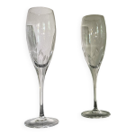 Fltes  champagne