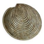 Grand plat coquillage en cramique par dominique guillot pour vallauris 1960, plat  hutres gant