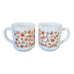 Grandes tasses arcopal scania