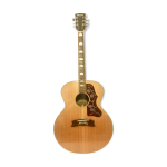 Guitare suzuki j200