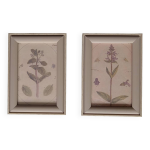 Illustration botanique imprimée, dans son cadre en bois, lot de 2, encadrement image botanique, décor ... Illustration botanique imprimée, dans son cadre en bois, lot de 2, encadrement image botanique, décor ...