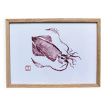 Impression d'art encadre,  gyotaku d'un petit calamar