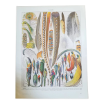Lithographie sur les plumes de 1928