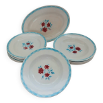 Lot 12 assiettes et plat moulin des loups