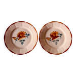 Lot de 2 assiettes anciennes en faïence sarreguemines à décor floral Lot de 2 assiettes anciennes en faïence sarreguemines à décor floral