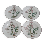 Lot de 4 assiettes villeroy et boch, collection botanica