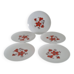 Lot de 5 assiettes plates - faencerie arzberg 1960 / 70