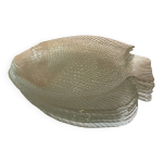 Lot de 6 assiettes forme poisson