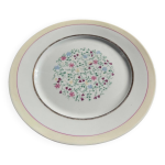 Lot de 6 assiettes plates en porcelaine