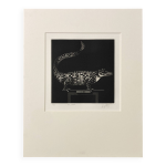 Mario avati (1921 - 2009), alligator, manire noire, 1970