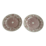 Paire d'assiettes sarreguemines terre de fer