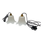 Paire de lampes baladeuses tulipe vintage