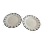 Paire de plats terre de fer