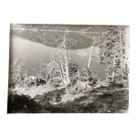 Photo argentique arbre mort devant lac n°4 bernard darot xxe Photo argentique arbre mort devant lac n°4 bernard darot xxe