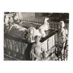 Photo argentique bernard darot xxe statue la force