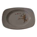 Plat belle epine salins