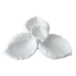 Plateau apritif coquillage