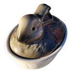 Pot lapin gris sign devres
