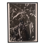 Rosine nusimovici, sans titre (poacea i), 1980. tirage argentique nb