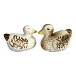 Salire et poivrier en barbotine canard