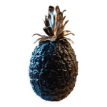 Seau a glaon ananas