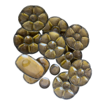 Service  huitres en faence de gien