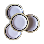 Set de 4 assiettes plates salins