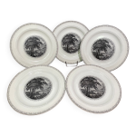 Suite de 5 grandes assiettes en c�ramique anglaise royal cauldon bristol ironstone  scenario