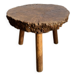 Table basse tripode brutaliste en loupe d'orme 1950