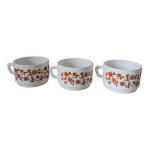 Tasses arcopal scania