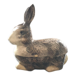 Terrine lapin ancienne