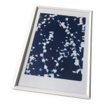 Tirage cyanotype a4 fleurs veronica & cadre blanc