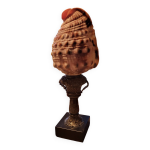 Trompette marine