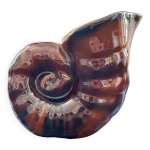 Vase coquillage