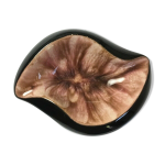 Vide poche ou cendrier en cramique barbotine en forme de coquillage