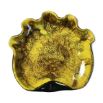 Vide poche ou cendrier en cramique barbotine en forme de coquille