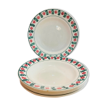 X5 assiette creuses  fleurs verte et rouge ceranord made in france