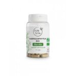 Belle & bio harpagophytum bio 120 gélules - pot 120 gélules Belle & bio harpagophytum bio 120 gélules - pot 120 gélules