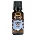 Biofloral granules 6 cherry plum - prunus bio 19, 5 g - flacon 19, 5 g