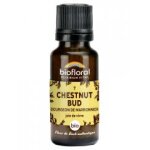 Biofloral granules 7 chestnut bud - bourgeon de marronnier bio 19, 5 g - flacon 19, 5 g