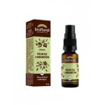 Biofloral spray peur de l'abandon bio 20 ml - spray 20 ml