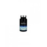 Champilab complexe immunit� reishi 60 g�lules - pot 60 g�lules