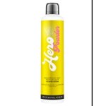 Ducastel pro shampooing sec hero powder ducastel pro 300ml