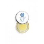 Graine de pastel baume lvres bio 7 ml - pot 7 ml