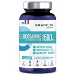 Granions glucosamine chondroïtine et msm 1500 mg 90 comprimés - pot 90 comprimés Granions glucosamine chondroïtine et msm 1500 mg 90 comprimés - pot 90 comprimés