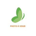 L'oréal paris casting crème gloss couleur sans ammoniaque 180 ml - boîte 3 produits + 1 paire de gants ... L'oréal paris casting crème gloss couleur sans ammoniaque 180 ml - boîte 3 produits + 1 paire de gants ...