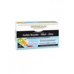 Herbesan immunit fonctions cognitives 20 ampoules - bote 20 ampoules de 10 ml